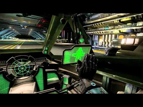 Star Citizen: Immersion