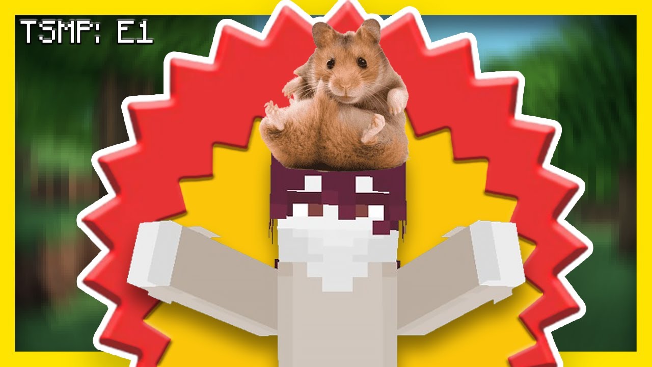 We Made My Minecraft Server STUPID (TSMP) - YouTube