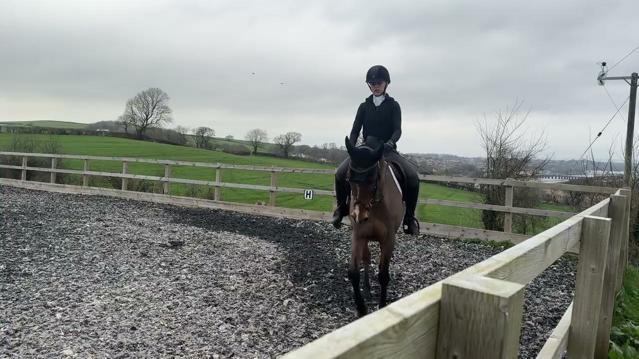 E-Riders Prelim 2F February 2026