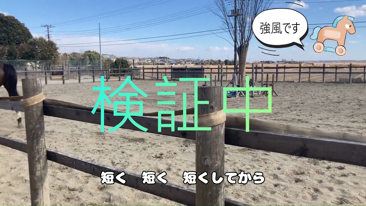 冬の騎乗R8.1.25旦那　お尻一瞬くっつく