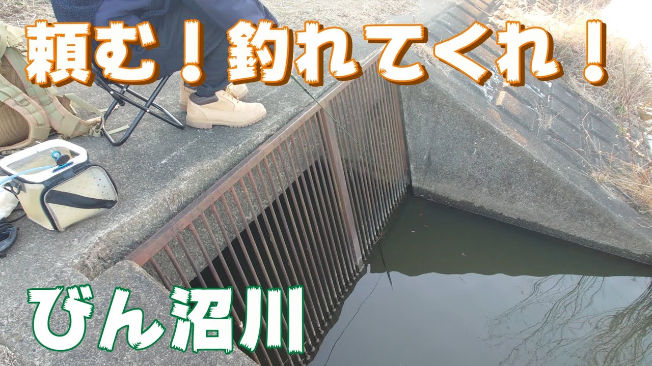 【小物釣り】とにかく魚を釣りたい時の場所！【びん沼川】