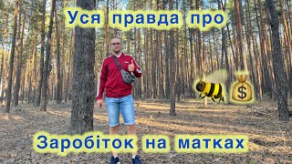 видео: Скільки💲вдалось заробити на матках? 🐝 Як розкрутити власну справу ↗️ картинка: Скільки💲вдалось заробити на матках? 🐝 Як розкрутити власну справу ↗️