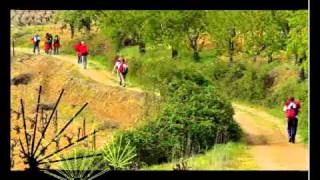 El Bierzo - Anuncio