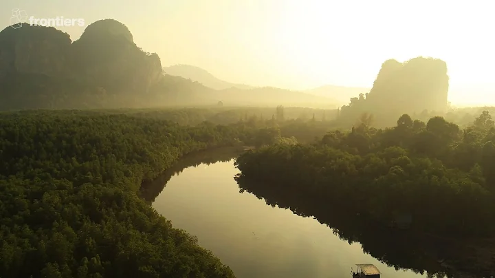 Open Science for Sustainability