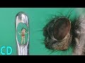 5 Smallest Things and Man Made Objects in the World - 2016