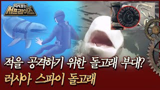 [다시보는 서프라이즈] 적을 공격하기 위한 돌고래 부대 러시아 스파이 돌고래 MBC190609방송