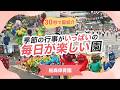 動画サムネイル