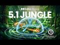 5.1 Atmos Jungle Surround Sound Test - Dolby 4K HDR