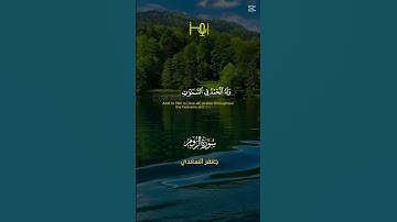 القارئ / جعفر السعدي #قرآن #تلاوات