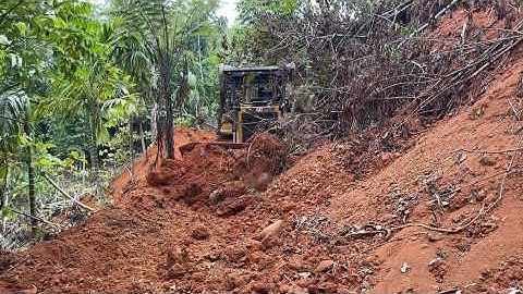 Massive Machine in Action – CAT D6R XL Bulldozer Widening Forest Roads