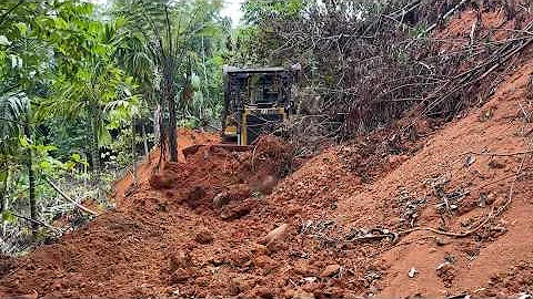 Massive Machine in Action – CAT D6R XL Bulldozer Widening Forest Roads