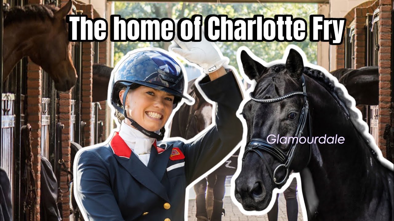 Экскурсия по конюшне VAN OLST HORSES