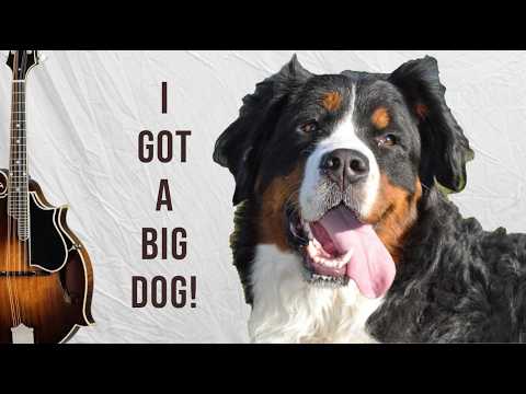 Long Journey Home - Workshop Primer - I Got a Big Dog Rhythm