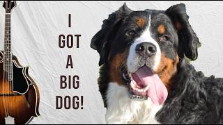 Long Journey Home - Workshop Primer - I Got a Big Dog Rhythm
