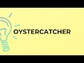 What is the meaning of the word OYSTERCATCHER?