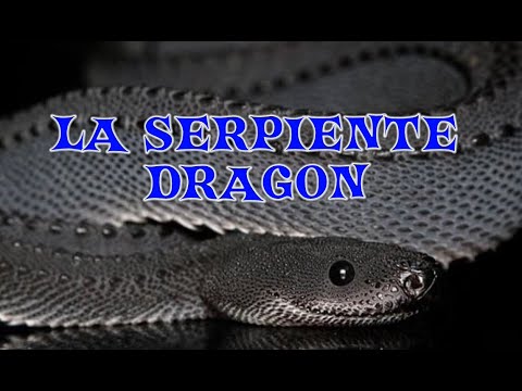 Vídeo: Serpiente Gorynych O Dragón En Ruso - Vista Alternativa