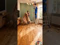 Sala de Estar Colorida e Moderna: Decoração Aconchegante com Tons Vibrantes e Estilo Contemporâneo