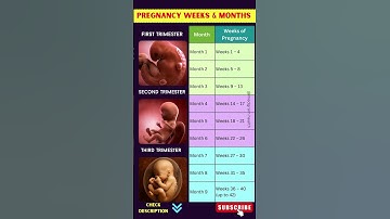 How to Calculate Pregnancy Weeks and Months ? Pregnancy Guide