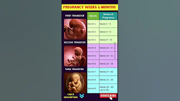 How To Calculate Pregnancy Weeks And Months Pregnancy Guide 