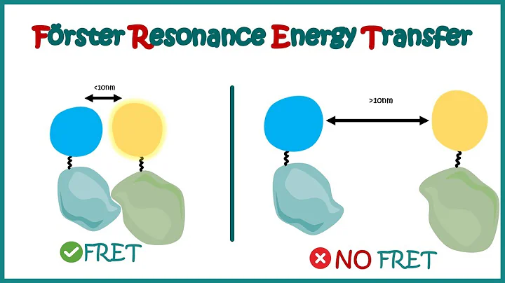 FRET | Fluorescence (Forster) Resonance Energy Transfer | Application of FRET | Limitation of FRET