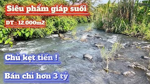 “Đất Giáp Suối Tự Nhiên . 12.000m² Ôm Trọn Dòng Suối  , Chủ Kẹt Tiền Bán Gấp hơn 3 tỷ !!!
