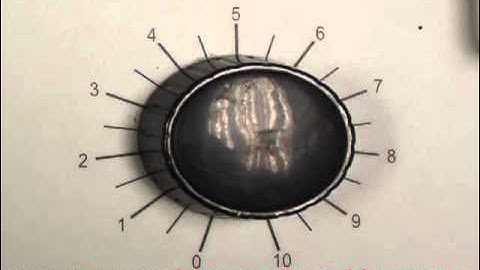 EPE_EE3008PA_Practical Assignment 6 Earth Fault P.I Test