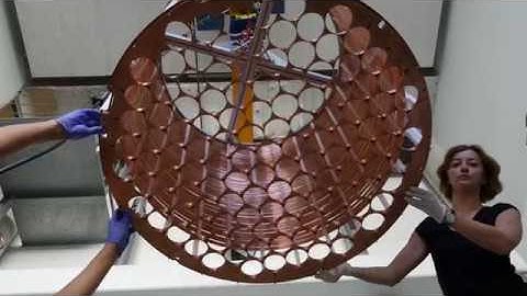 XENON Enlightening the Dark