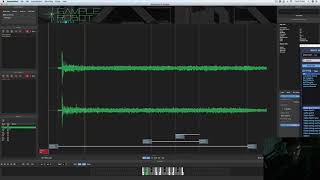 Celebrity Sampling Omnisphere into Sample Robot as a VST Wealth