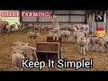 Sheep Farming: How To Be More Profitable With Sheep - Keep It Simple!