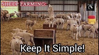 Sheep Farming: How To Be More Profitable With Sheep - Keep It Simple!