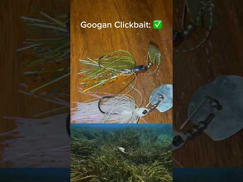 ARE GOOGAN BAITS