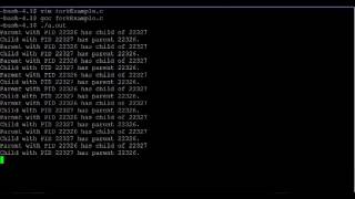Processes 2: Fork Processes 2: Fork