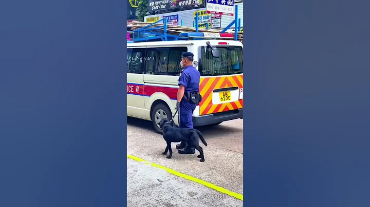 香港警犬队 - 天天要闻