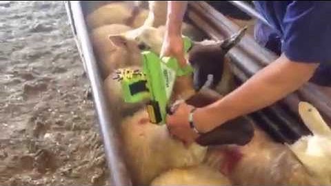 RapIDMatic Applicator in action