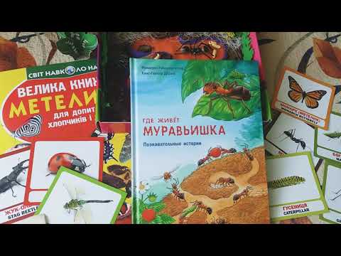Книга Где живет муравьишка | муравейник | творчество | поделка для детей | Фридерун Райхенштеттер