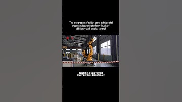 Shandong Kewei palletizing robot #automobile #robotic #factory #industrialrobot