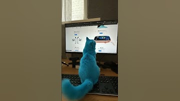 UI Design Tips #ecommerce #onlinebusiness #businessowner #websitetips #developer #webdesigner