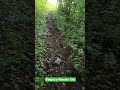 Balgöze/Nevale sılo