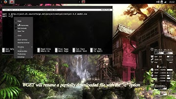 Download Multiple Resumable files w/ GNU Wget
