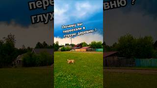 Жизнь в деревне ❤️ #природа #деревня #переездвдеревню #жизньвдеревне