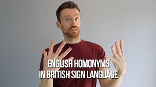 English Homonyms in British Sign Language (BSL) screenshot 4