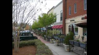 SouthernVillageTour.mp4