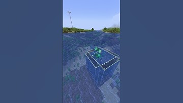 Squids Can Fly In Minecraft??? #minecraft