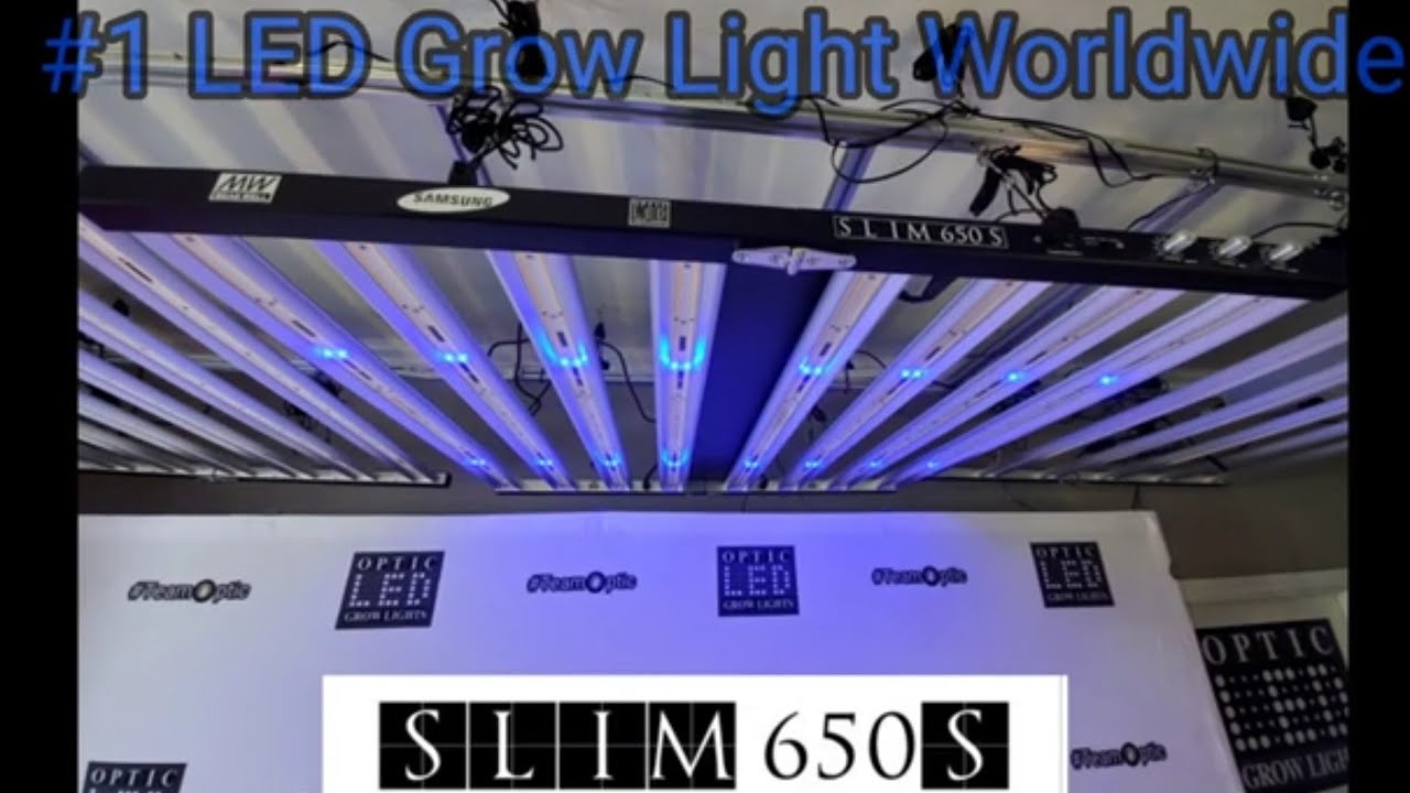 OPTIC LED SLIM 650S REVIEW AFTER 1ST GROW - YouTube