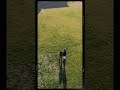 Stiamo provando il drone...!vi regaleremo nuovi video emozionanti!🥰#drone #droneshort #djimini2