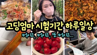 고딩 아들 시험 시작! 고딩엄마 시험기간 하루일상 브이로그 (고딩 아들 먹이고, 먹이고, 또 먹이고...) 마이맘 TV