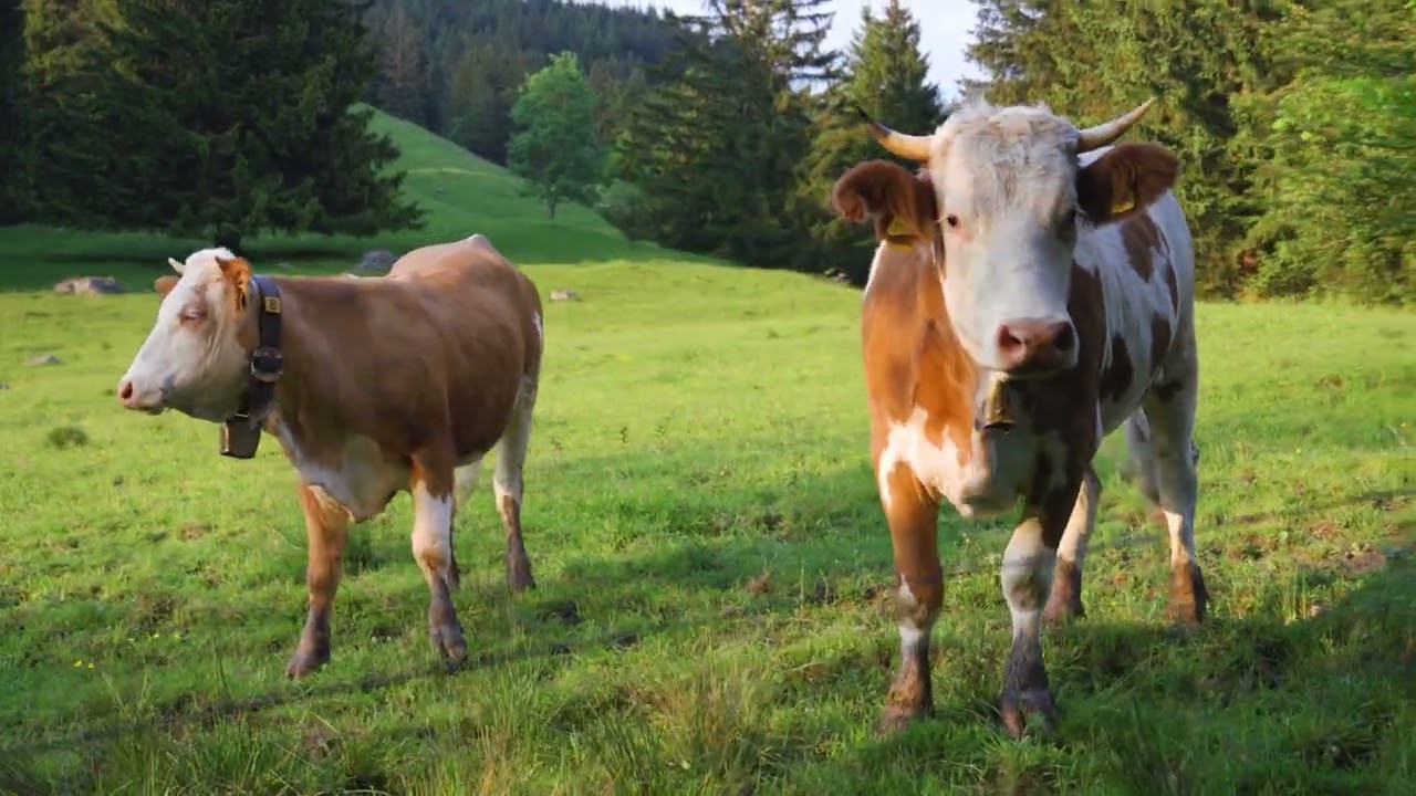 Ettal, Germany