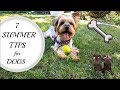 7 Летни Съвета за Щастливо Куче/Ася Енева/7 Summer Tips For Dogs/Asya Eneva