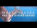 Egypt  marsa shagra  red sea diving safari  4k