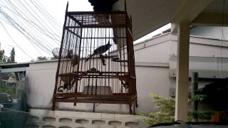WP 20140504 002